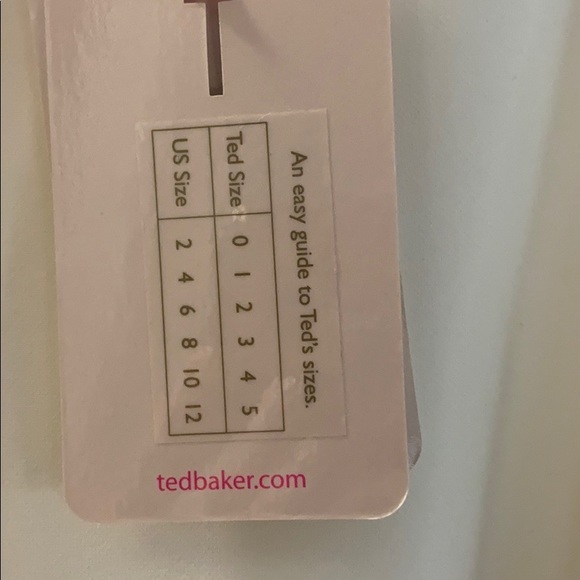 Gorgeous Ted Baker dress 👗 size 3 (8) - Picture 5 of 6